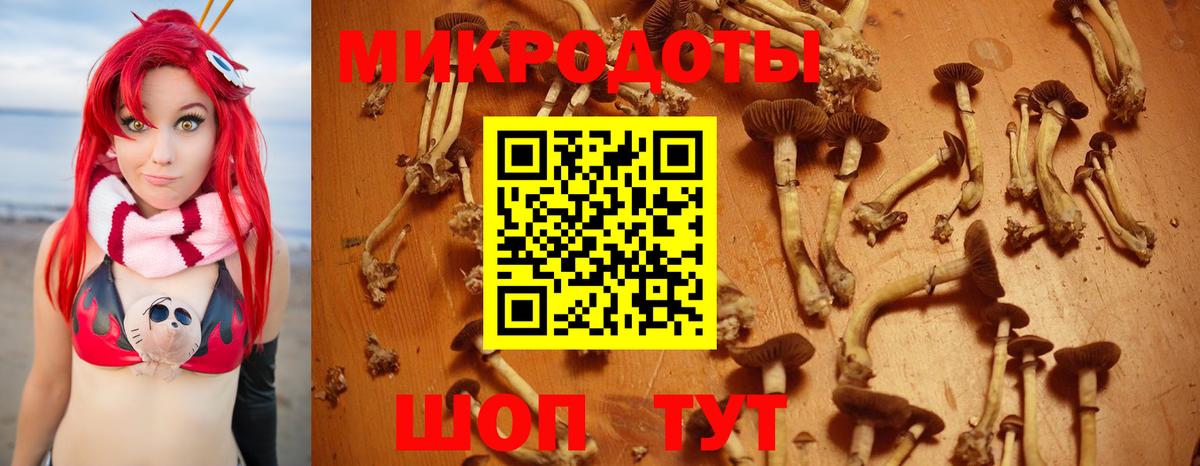 Псилоцибиновые грибы Psilocybine cubensis  Галлюциногенные грибы мухоморы  Вход с VPN  Ржев 